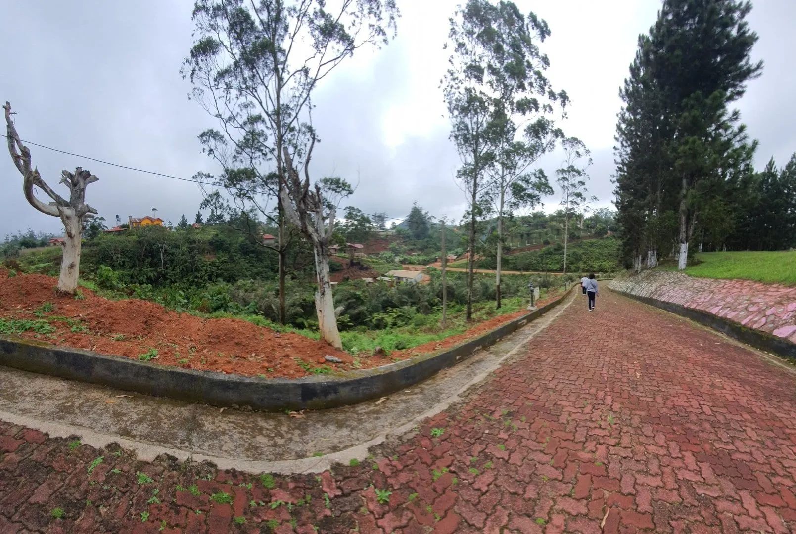 Une allée en pavés rouges entre pelouses et grands arbres, sur les hauteurs