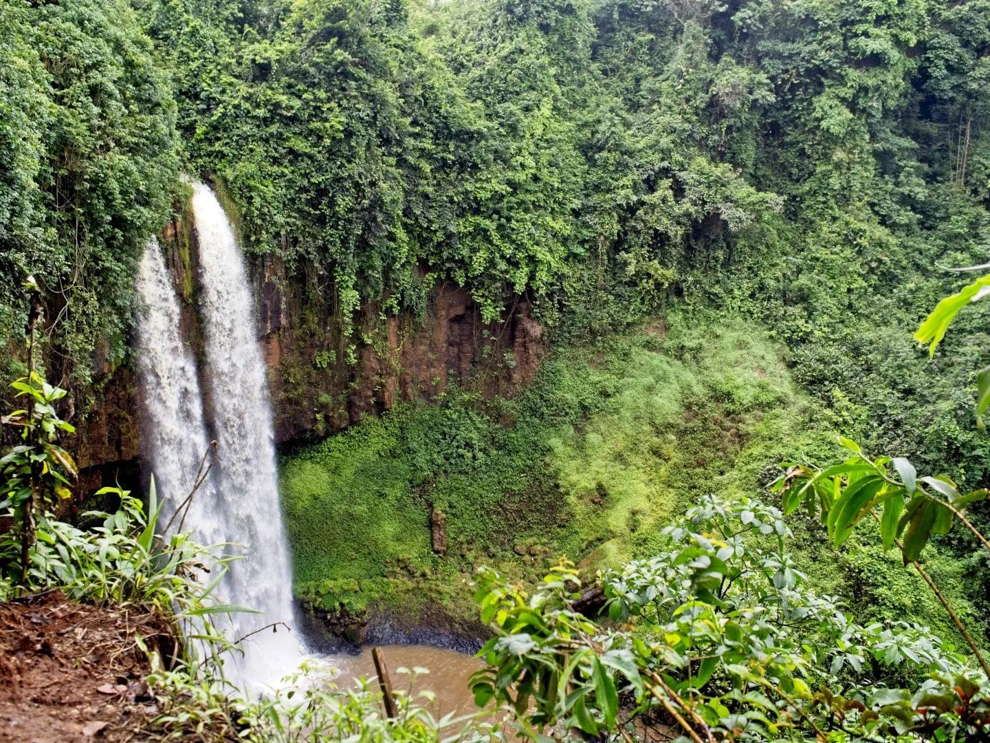 Une cascade tombant dans un bassin entouré d'une végétation tropicale dense