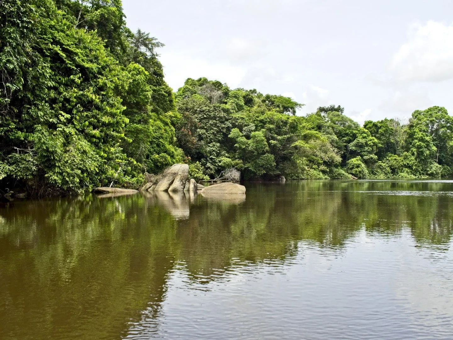 Le fleuve Lobé vu depuis une pirogue, eaux calmes entre deux rives de forêt