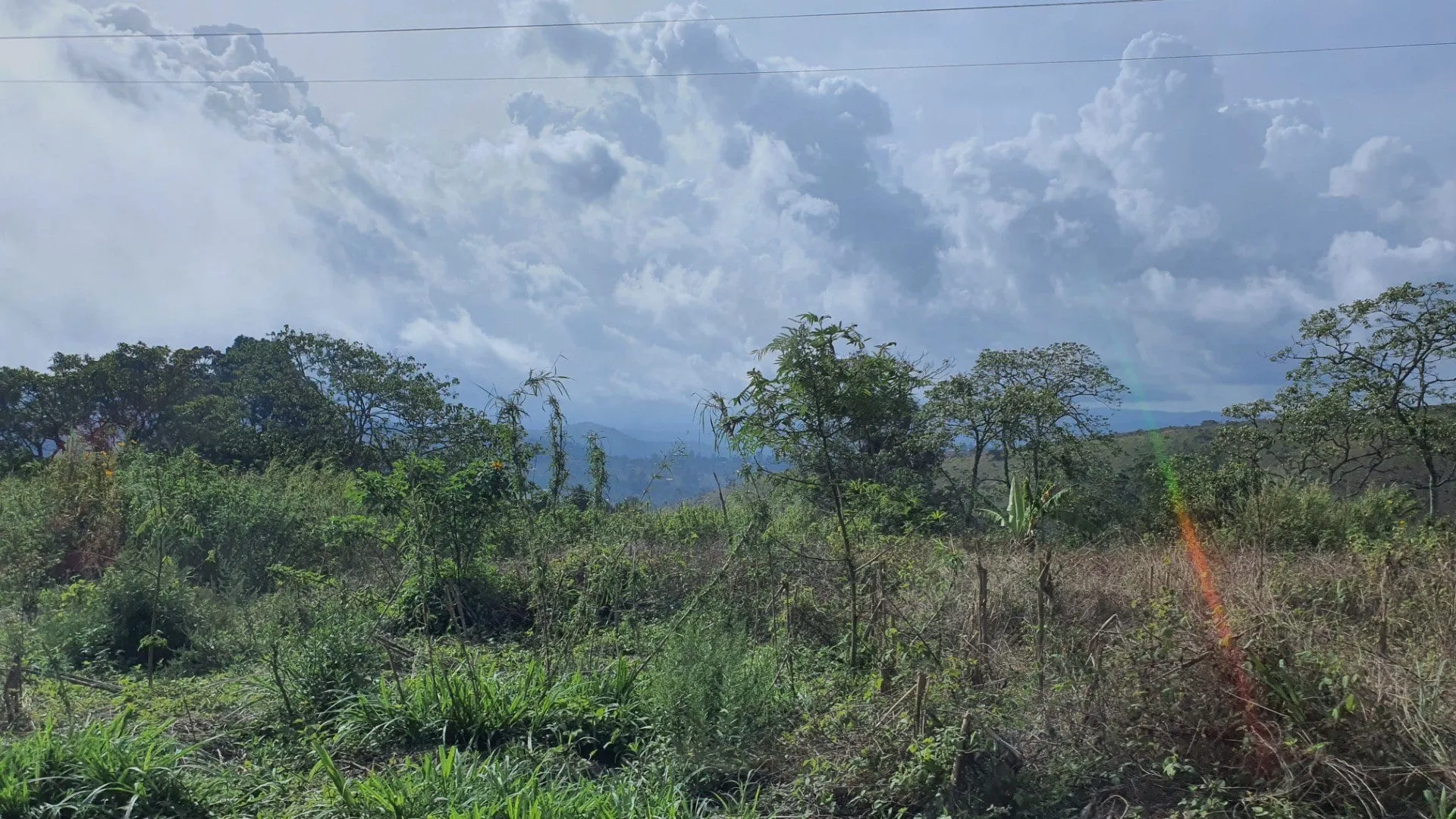 Panorama sur les hauts plateaux de l'Ouest camerounais, collines verdoyantes en enfilade