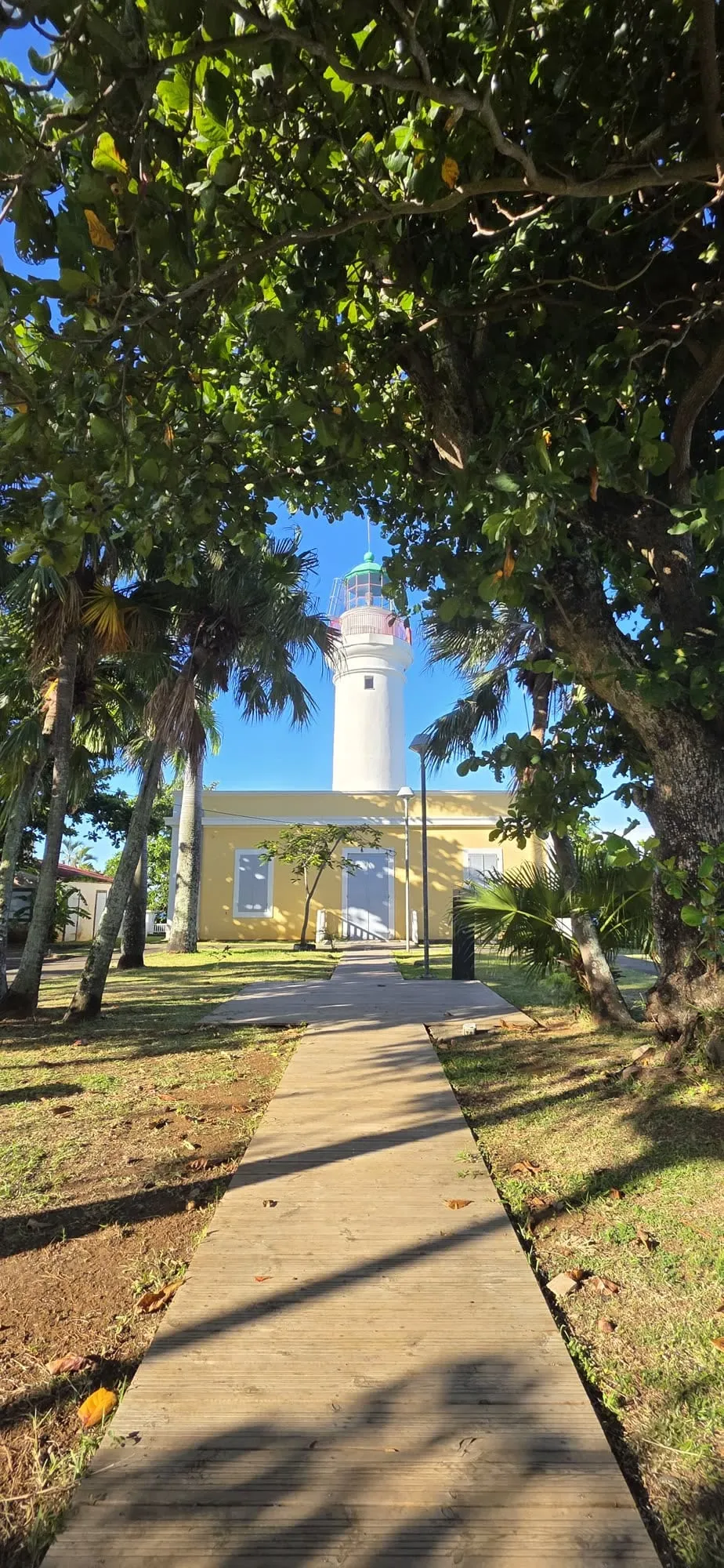 Une allée bordée de palmiers menant à un phare blanc, en fin d'après-midi