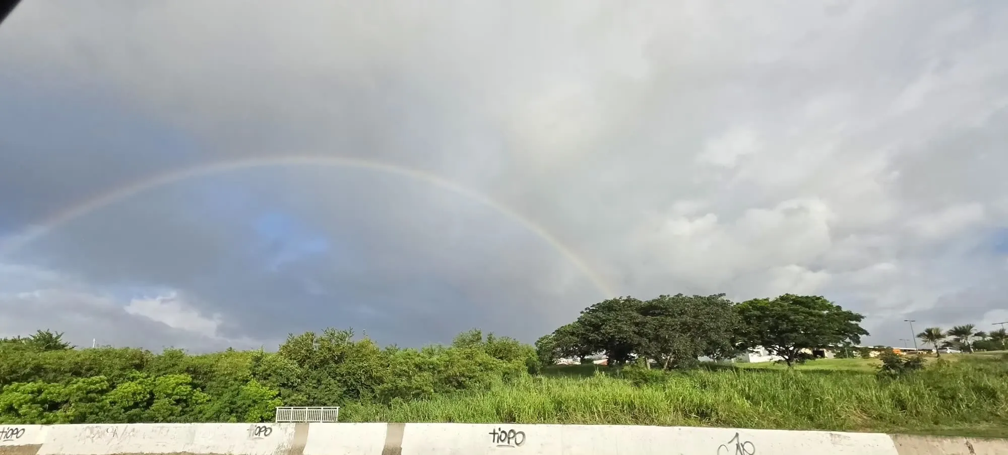 Un arc-en-ciel entier au-dessus d'une route bordée d'arbres, ciel chargé
