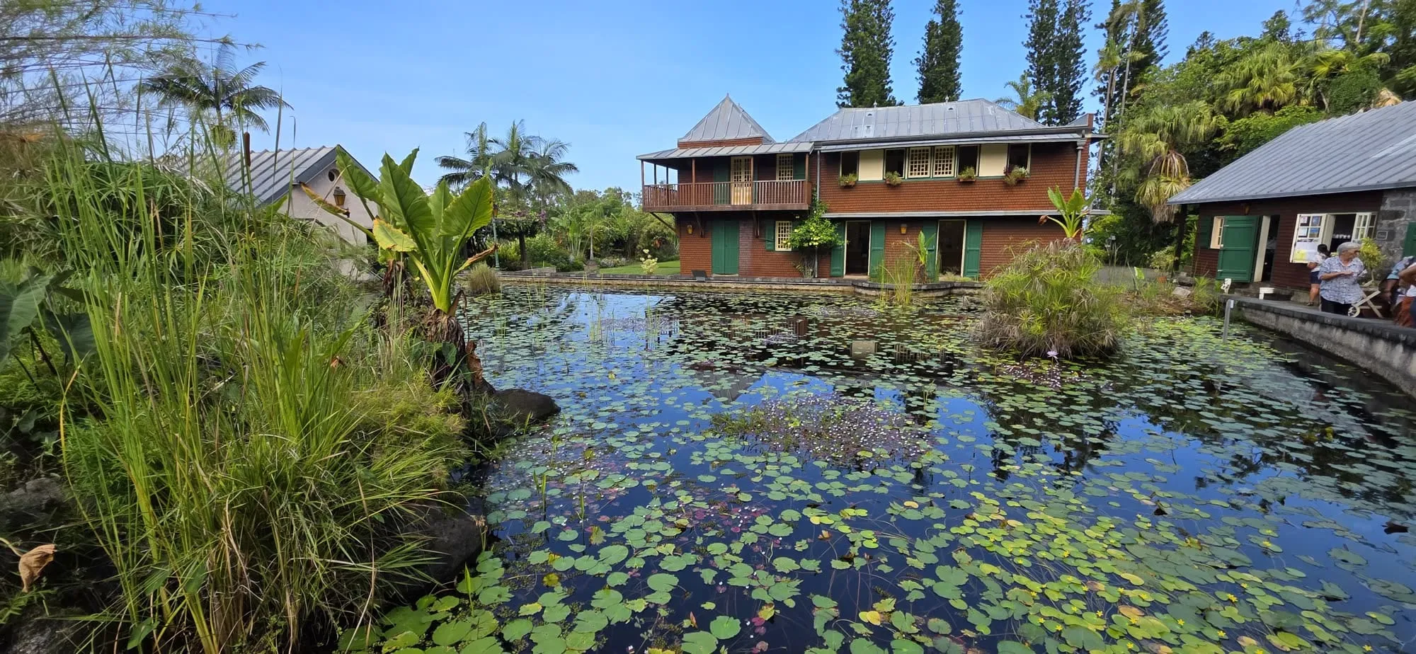 Un bassin de nénuphars devant une demeure coloniale à étage, jardin soigné