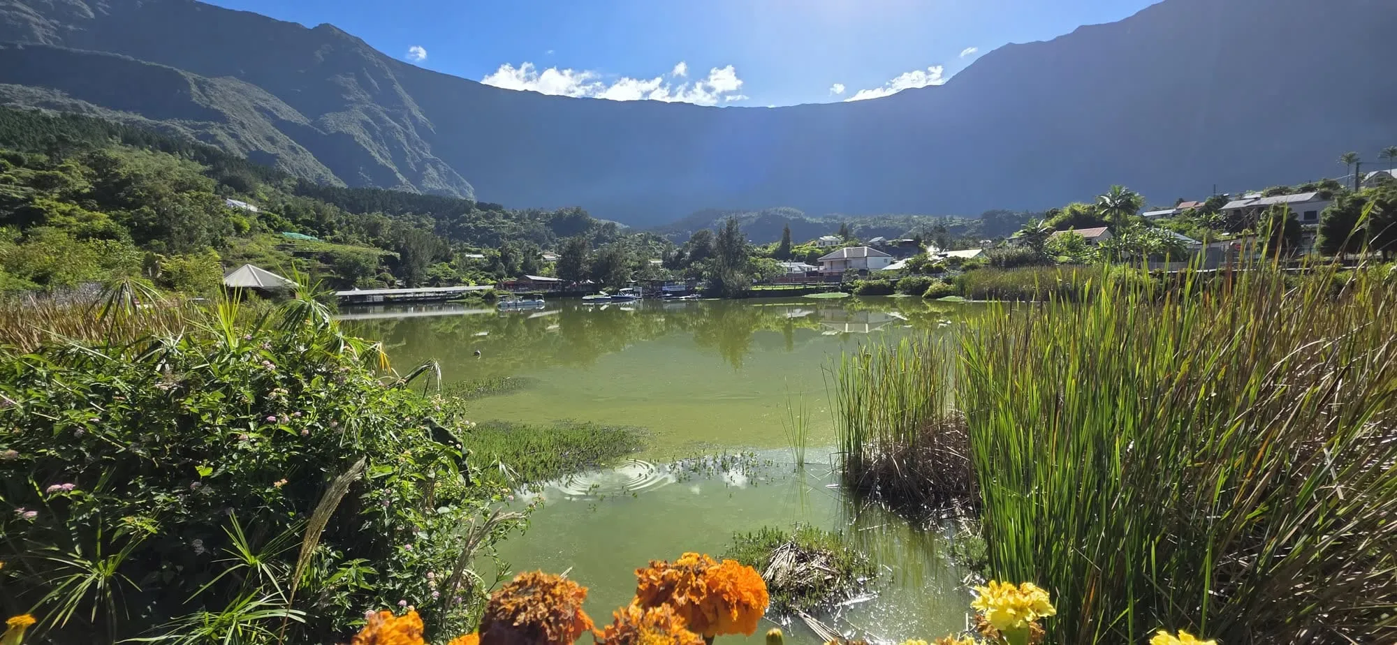 Un plan d'eau vert bordé de joncs et de fleurs orange, remparts en fond