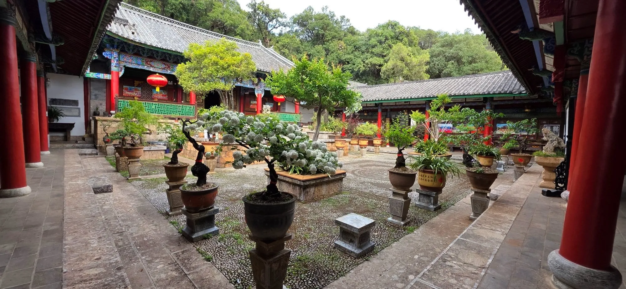 Une cour intérieure garnie de bonsaïs en pots, dans la vieille ville de Lijiang